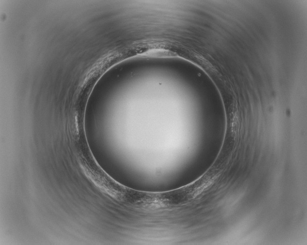 X0000054370254200507291054