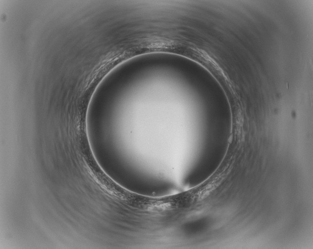 X0000054370257200507291054