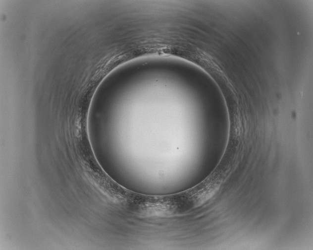 X0000054370259200507291054