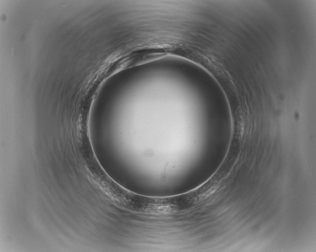 X0000054370260200507291054