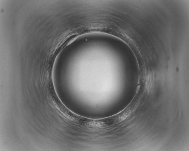 X0000054370261200507291054