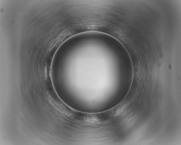 X0000054370262200507291054