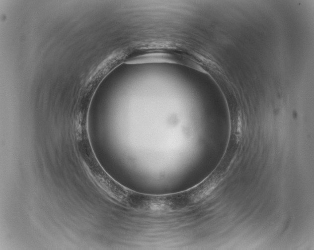 X0000054370264200507291054