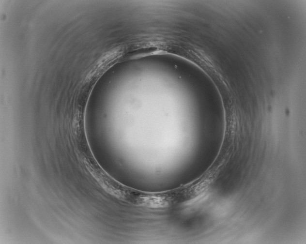 X0000054370265200507291054