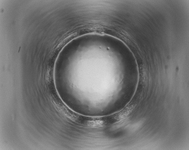 X0000054370266200507291054