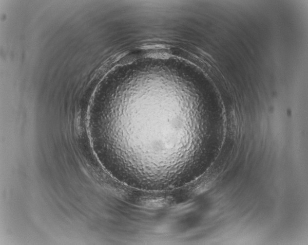 X0000054370267200507291054