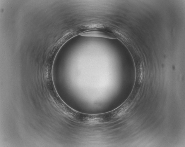 X0000054370268200507291054