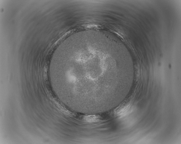 X0000054370269200507291054