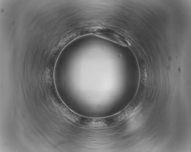 X0000054370270200507291054