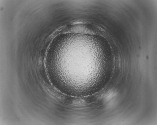 X0000054370271200507291054