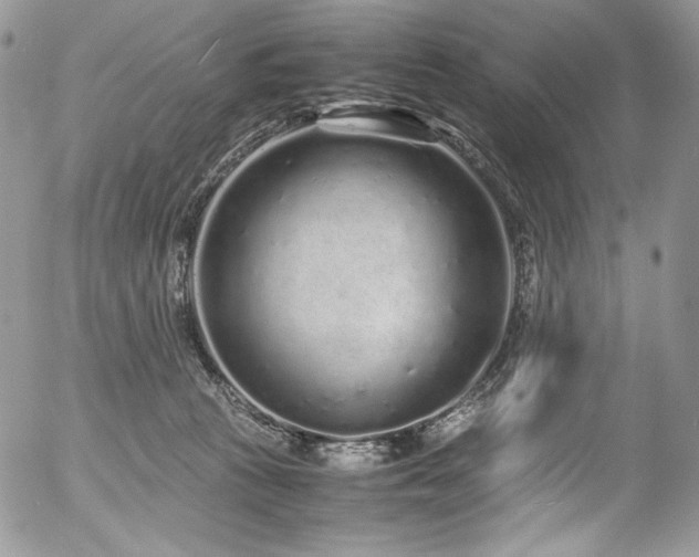 X0000054370273200507291054