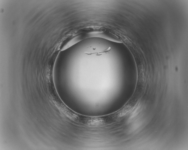 X0000054370274200507291054