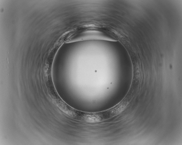 X0000054370275200507291054