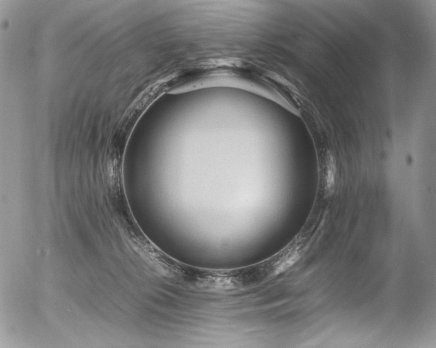 X0000054370276200507291054