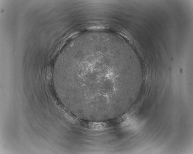 X0000054370277200507291054