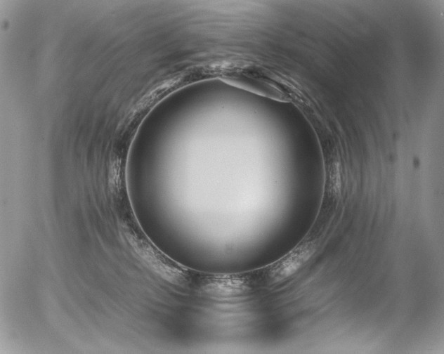 X0000054370278200507291054