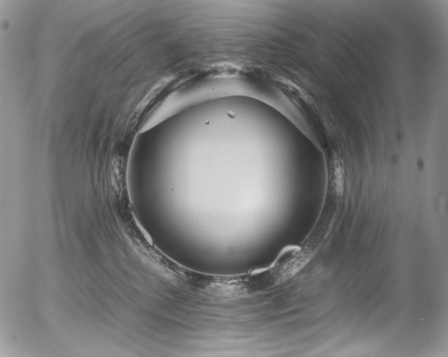 X0000054370280200507291054