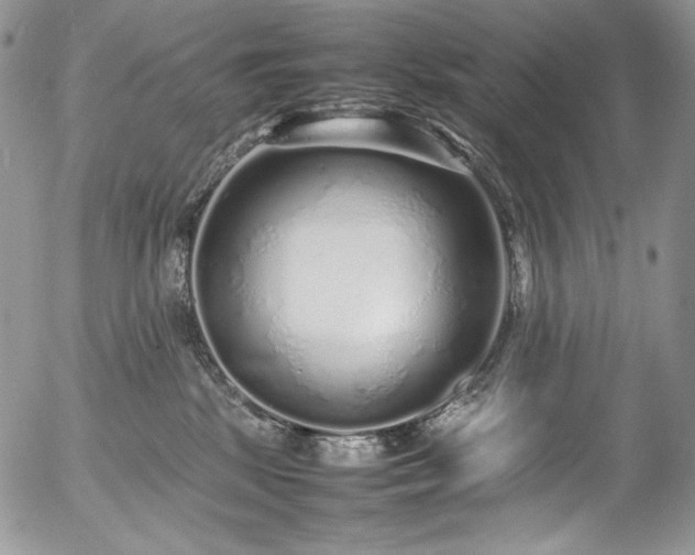 X0000054370281200507291054