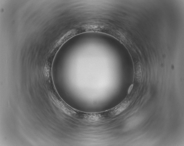 X0000054370282200507291054