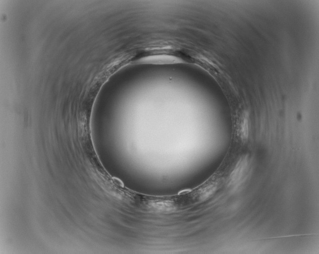 X0000054370283200507291054