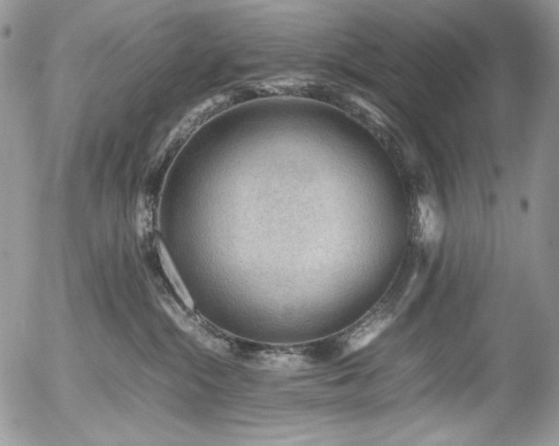 X0000054370284200507291055