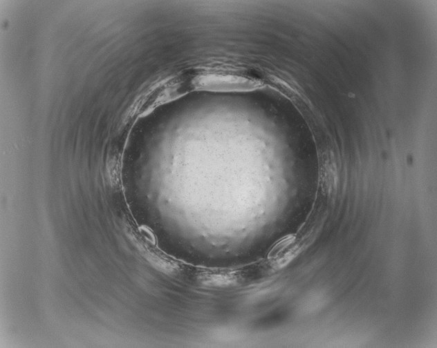 X0000054370285200507291055