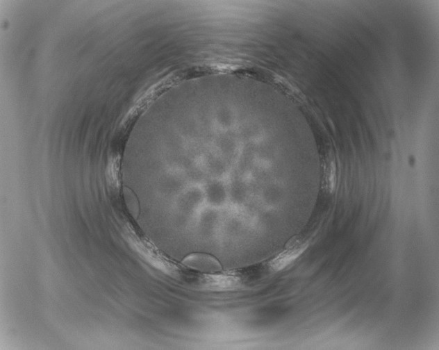 X0000054370286200507291055