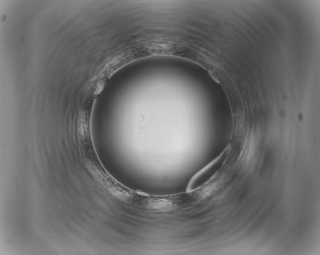 X0000054370287200507291055