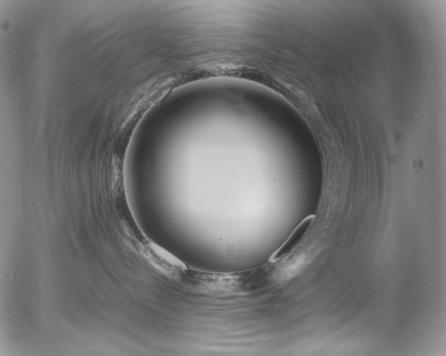 X0000054370288200507291055