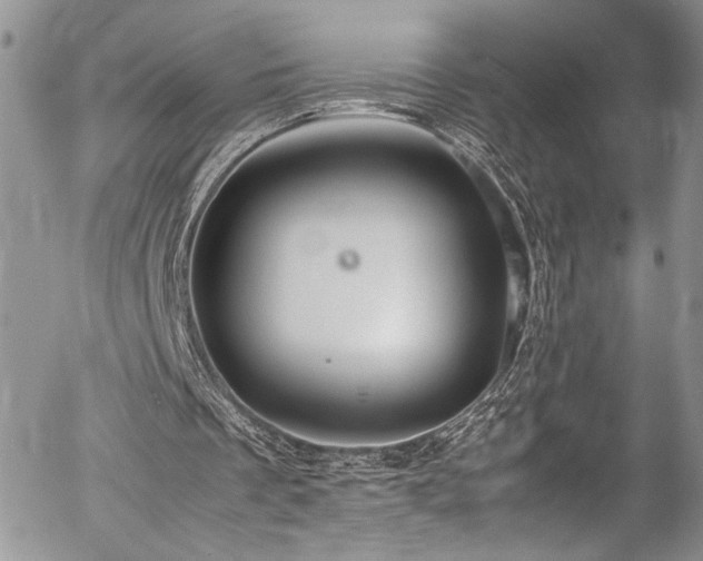 X0000054370289200507291054