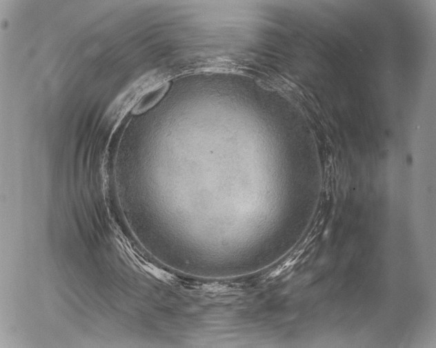 X0000054370290200507291054