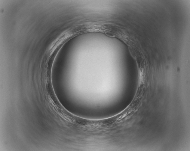 X0000054370291200507291054