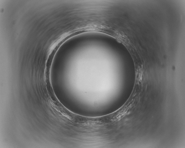 X0000054370292200507291054