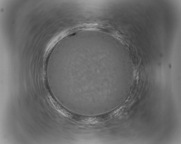 X0000054370293200507291054