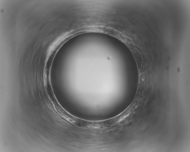 X0000054370294200507291054