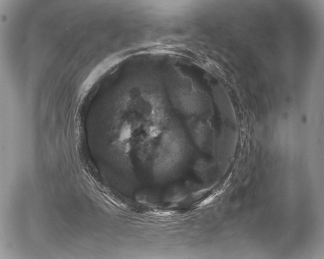 X0000054370295200507291054