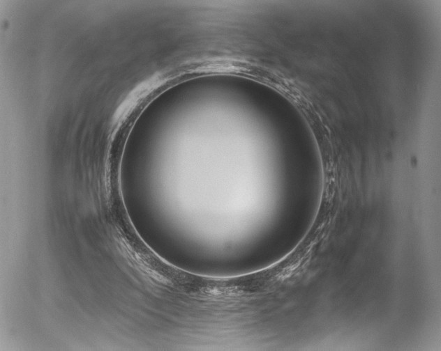 X0000054370296200507291054