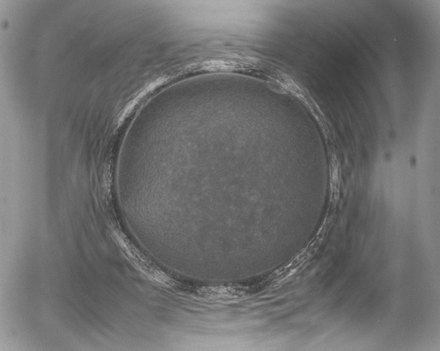 X0000054370297200507291054