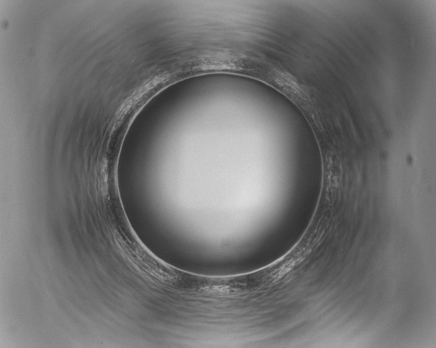 X0000054370298200507291054