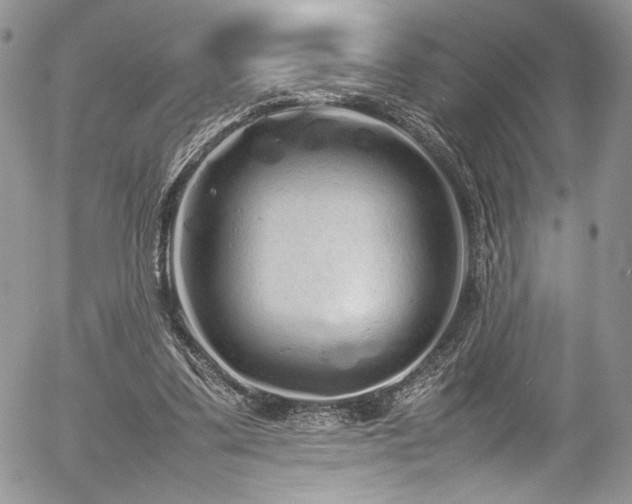 X0000054370299200507291054