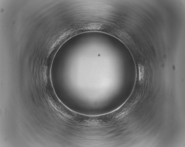 X0000054370300200507291054