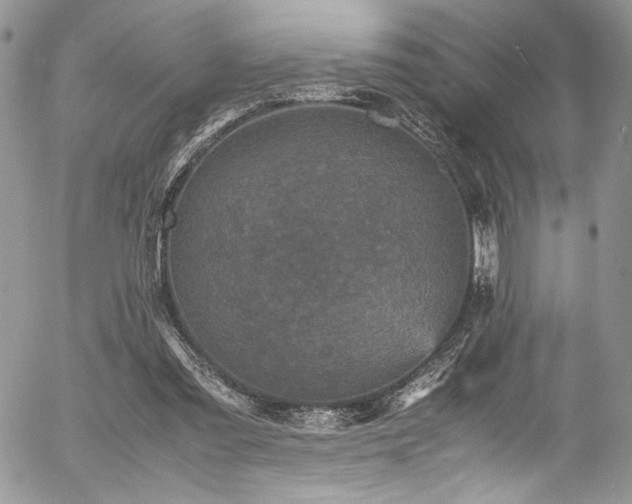 X0000054370301200507291054