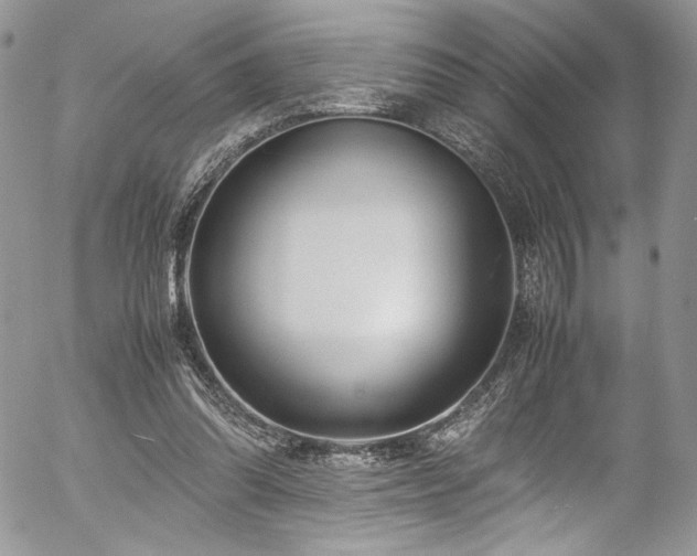 X0000054370302200507291054