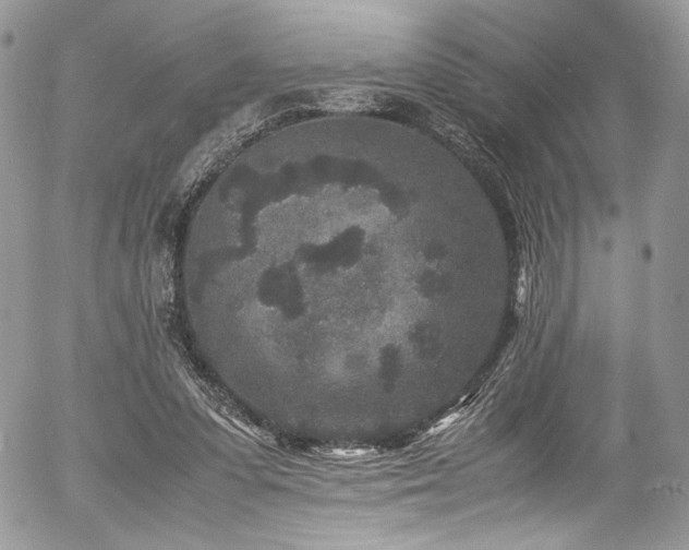 X0000054370303200507291054