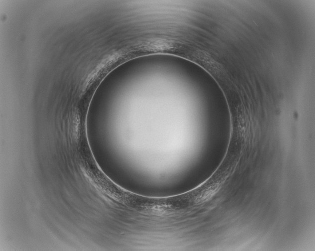 X0000054370304200507291054