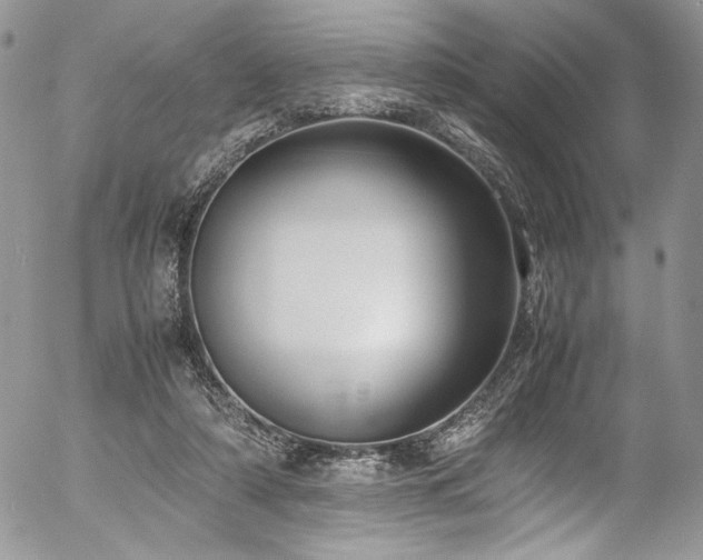 X0000054370306200507291053