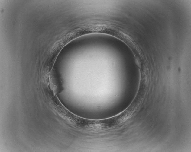 X0000054370307200507291053