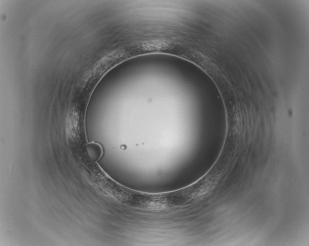 X0000054370308200507291053