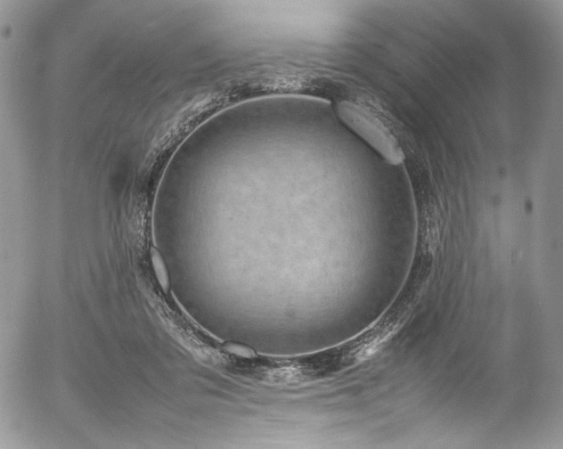 X0000054370309200507291053