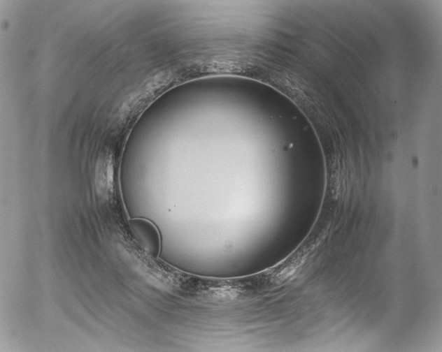 X0000054370310200507291053